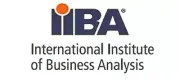 International Institute of Business Analysis
